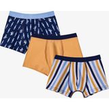 Penti Erkek Çocuk Sardines Balık Desenli 3'lü Boxer - 12 - 13 Yaş - Renkli