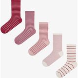 Penti Pembe Bordo Fine Lines Çizgili 5 Çift Soket Çorap - 36 - 40