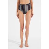 Penti PLT87L1P21IY-MIX Çok Renkli Amber High Fashion Bikini Altı