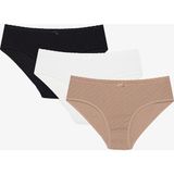 Penti Soft Pointel Basic 3'lü Pamuklu Çok Renkli Hipster Külot - XS