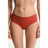 Penti Tarçın Period Orta Bel Bikini Altı - 34