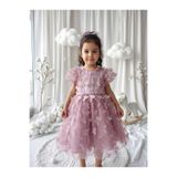 penu baby kids Gül Kurusu 3D Kelebek Figürlü Balon Kısa Kollu Kız Çocuk Kız Bebek Elbise