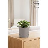 Pera Kare Saksı Bej Latte No1 0,6 Litre 10,6cm Mini Boy Plastik Minik Kaktüs Sukulent Saksısı