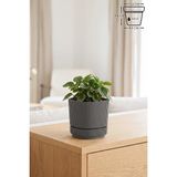 Pera Kare Saksı No1 0,6 Litre Krater Kahve 10,6cm Mini Boy Plastik Minik Kaktüs Sukulent Saksısı