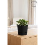 Pera Kare Saksı No1 0,6 Litre Siyah 10,6cm Mini Boy Plastik Minik Kaktüs Sukulent Saksısı