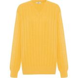 Peraluna Zacha 'v Neck' Neck Pullover Üç Boyut Çizgili Mevsimlik Erkek Triko Kazak - Sarı - XL