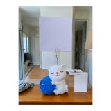 Perazayn Saks Yumak Tutan Oturan Kawaii Kedi Temalı Not Tutacağı Fotoğraf Tutacak Tutucu Ofis Seti Hediyelik