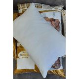 Percale Pamuk Kumaşlı 1 Ad 1.000 Gr'lık %100 Silikon Yastık