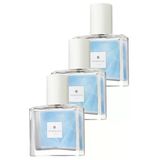 Perceive Kadin Parfum Edp 30 Ml, Uclu Set
