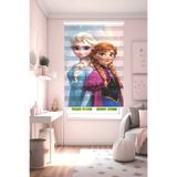 Perdecizade (ENXBOY)ELSA ANNA DİJİTAL BASKILI ZEBRA PERDE-COCUK ODASI-STOR PERDE
