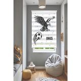 Perdecizade (ENXBOY)KARTAL (İSİM YAZILIR)DİJİTAL BASKILI ZEBRA PERDE-COCUK ODASI-STOR PERDE