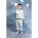 Perendi Erkek Çocuk %100 Pamuk Pijama Takımı - Çağla - 6 - 7 Yaş