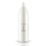Perfect Shine 1000 ml 10 Volume Krem Oksidant