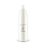 PERFECT SHINE OXY Profesyonel Saç Boyası İçin Krem Oxydant 30 Volume (%9) 1000ml