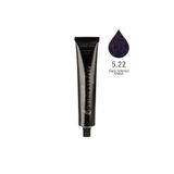 Perfect Shine Permanent Profesyonel 100 ml 5.22 Koyu Yoğun Viyole Saç Boyası