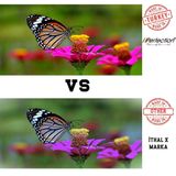 Perfection Epson Uyumlu 103-101 Tanklı Yazıcılar İçin Mürekkep Seti 4 X 1 kg.