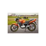 Performance Stickers Performance & Kuyruk Lastik Yazısı Motorsiklet Lastik Stikeri 8Adet Lastik Sticker 15-21 İnç Uyumlu