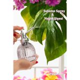 Perotti 15731 Gri Vintage Cam Bitki Sulama Şişesi Oda Kokusu Dağıtıcı Çok Amaçlı Boş Sprey Şişe 250 ml