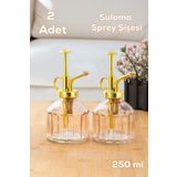 Perotti 2'li Pembe Vintage Cam Bitki Sulama Şişesi Oda Kokusu Dağıtıcı Cam Dağıtıcı Sprey Yağlık 250ml