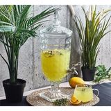 Perotti Ms Morry Espinas 5 Lt Cam Damacana Sebil