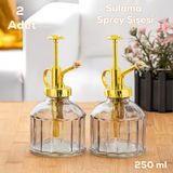 Perotti Vintage 2'li Cam Bitki Sulama Şişesi Oda Kokusu Dağıtıcı Çok Amaçlı Sprey Şişe Seti 250 ml Gri