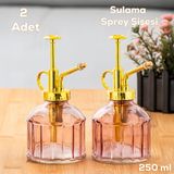 Perotti Vintage 2'li Cam Bitki Sulama Şişesi Oda Kokusu Dağıtıcı Çok Amaçlı Sprey Şişe Seti 250 ml Mor