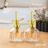 Perotti Vintage 2'li Cam Bitki Sulama Şişesi Oda Kokusu Dağıtıcı Çok Amaçlı Sprey Şişe Seti 250 ml Pembe
