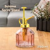 Perotti Vintage Cam Bitki Sulama Şişesi Oda Kokusu Dağıtıcı Çok Amaçlı Sprey Şişe 250 ml Mor