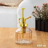 Perotti Vintage Cam Bitki Sulama Şişesi Oda Kokusu Dağıtıcı Çok Amaçlı Sprey Şişe 250 ml Pembe