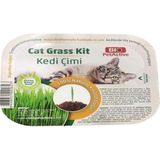 Pet Active Kedi Çimi