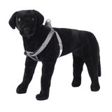 Pet Champion Konforlu Göğüs Pedi Minderi Çekmesiz Basamaklı Kolay Kurşun Köpek Koşum, Çeşitli Renkler, Orta 1,5 cm x 14-20 inç