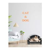 Pet Dizayn Pd Taht Rahat Kedi Köpek Yatağı 30*50 Siyah Yıkanabilir Duck Kumaş Minderi Ile Beraber