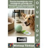 #Pet Evcil Hayvan Küçük Irk Köpek Avcılık İçgüdüsü Masaj Diş Kaşıma Sesli Dikenli Kedi Oyuncağı Topu