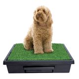PET LOO MEDIUM Köpek Tuvaleti (63x63cm)