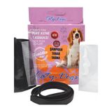 Pet Product Funidex Köpekler İçin Pire Kene Bakım Seti (Şampuan- Tarak- Tasma)