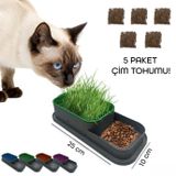 Pet Soft Hidroponik Kedi Çimi Yetiştirme Kabı Tohum Çimlendirme Seti