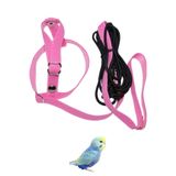Petcalvit Jumbo Muhabbet Kuşu Tasması Pembe