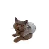 petcase Ameliyat Sonrası Kedi Kıyafeti / Kedi Tulumu / Kedi Korsesi
