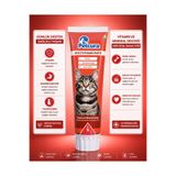 PETCURA Kedi Malt Macunu Multivitamin Paste 100 g | MultiVitamin İçeren Tamamlayıcı Kedi Macunu