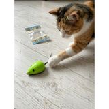 Petdost Renkli ve Hareketli – Çekbırak Fare Kedi Oyuncağı - Yeşil