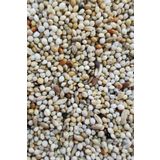Petdoys Karışık Muhabbet Kuşu Yemi - 1 Kg