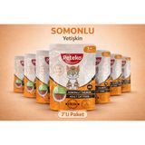 Peteko Somonlu Yetişkin Kedi Pouch Yaş Mama 85G x 7 Adet (Chunk Parça Etli) – Salmon Cat Food - 595gr