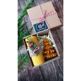 Petekoğlu Doğal Petek Balmumu Mum Hediyelik Mini Set Sarma Balmumu Çam Ağacı Beeswax Candle - Çok Renkli - 1