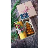 Petekoğlu Doğal Petek Balmumu Mum Hediyelik Mini Set Sarma Balmumu Çam Ağacı Beeswax Candle