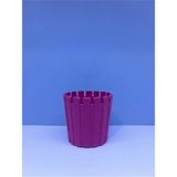 PetGrow Plastik Akasya Kaktüs 5,5 Saksı - Mor