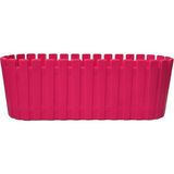 PetGrow Plastik Akasya Kaktüs 5,5 Triple Saksı - Pembe