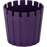 PetGrow Plastik Akasya Kaktüs 8,5 Saksı - Mor