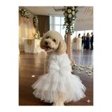 Peti Tailor Köpek Gelinliği Beyaz Güllü Kat Kat Tüllü Düğün Kıyafeti