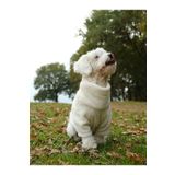 Peti Tailor Köpek Sweatshirt Boğazlı Beyaz Wellsoft Polar Küçük Ve Orta Irk Kışlık Kedi Kıyafeti
