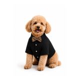 PetiliDünya Smmer cotton papyon gömlek kedi köpek gömlek kıyafeti